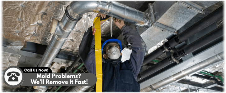 Air Duct Mold Removal in Gainesville GA