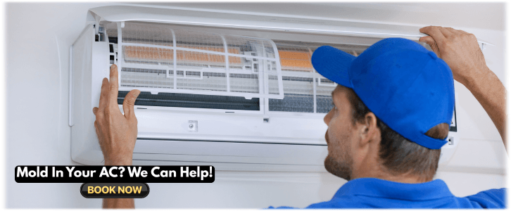 HVAC Mold Removal Gainesville GA